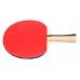 Ракетка для настільного тенісу Butterfly Timo Boll Bronze